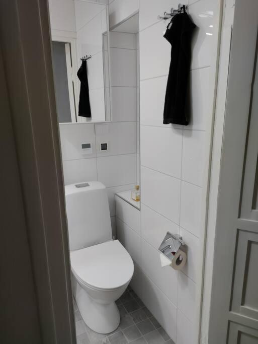Top-floor Studio, Near Park & Sea, Great Transit Helsingfors